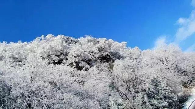 智慧园区租赁管理系统有哪些优势?