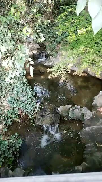 逃离海岛村