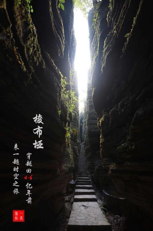救援小袋熊