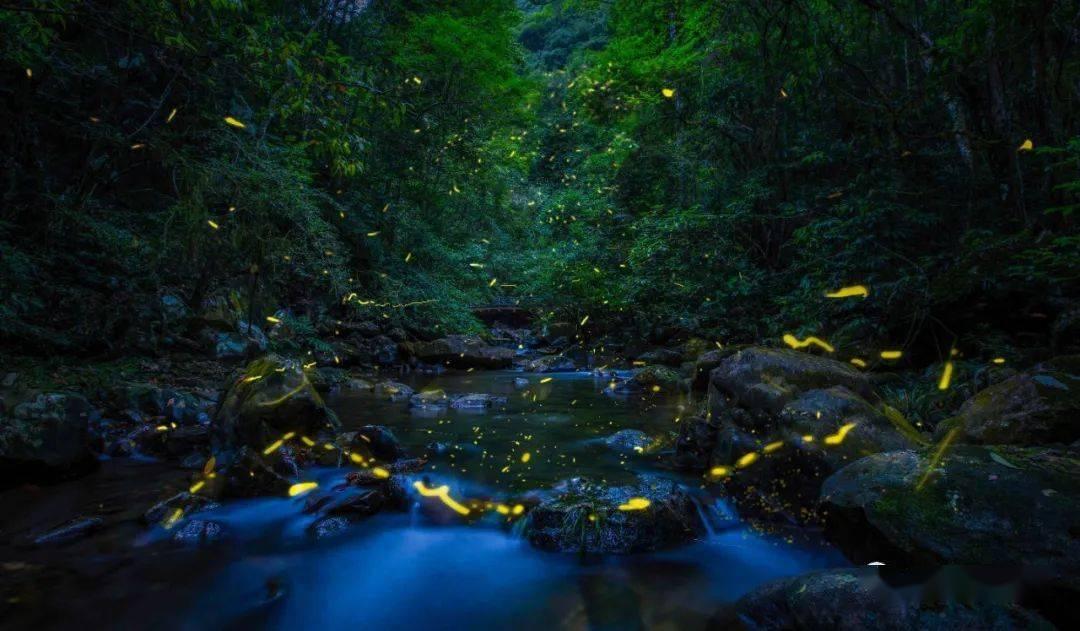密室之逝夜流转