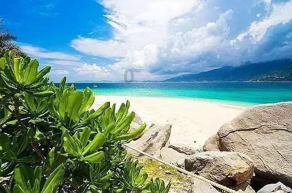 再添新彩！珠海洪鹤大桥工程捧回两项大奖