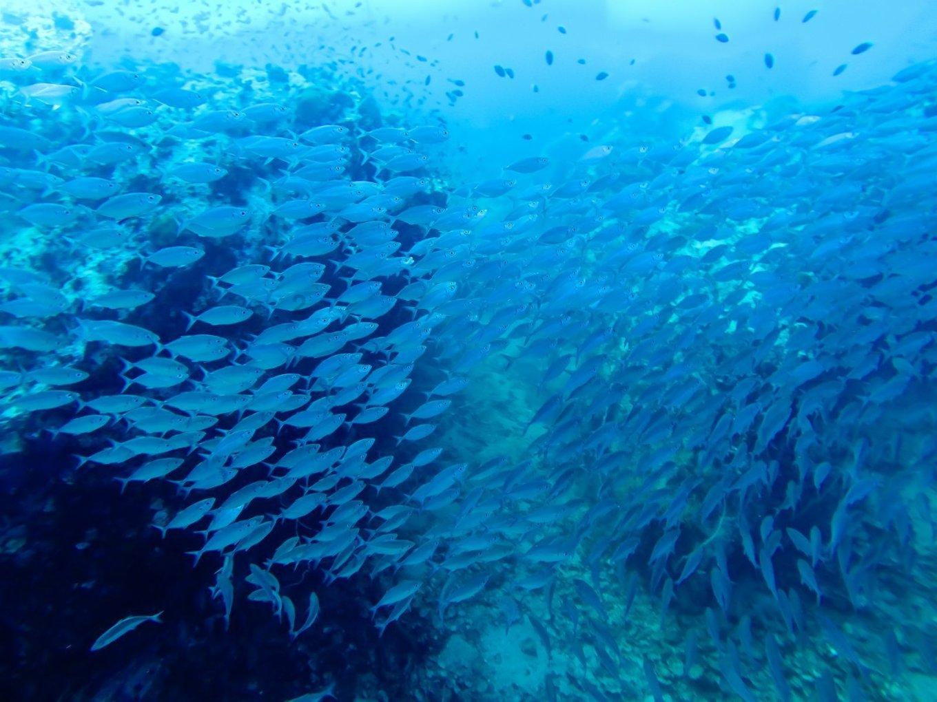 秋季浪漫约会