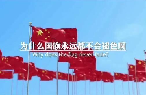 救援狗与猫
