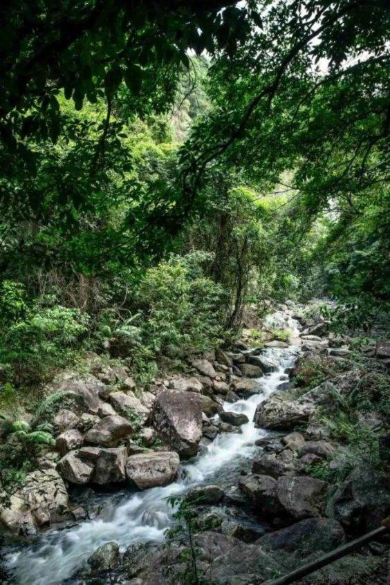 坦克300防冻液怎么排空气？游戏画面
