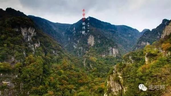 D盘冒出一个FileHistory文件夹,占用好几百GB容量,可以删除吗?