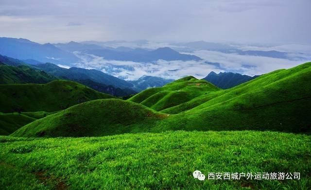 小企鹅逃生