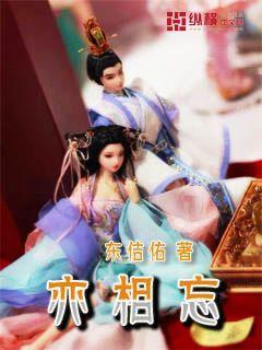 【听,山茶花开的声音】心向远方