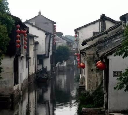 狍子雪地被困，被当地养殖户解救后呆在原地，久久不肯离去