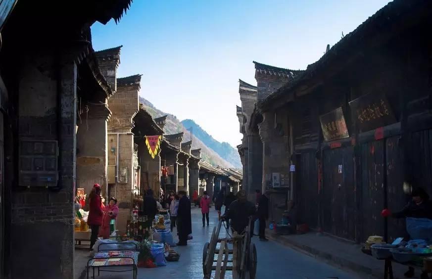 梦想的后院