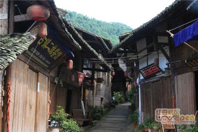 虫虫助手下载