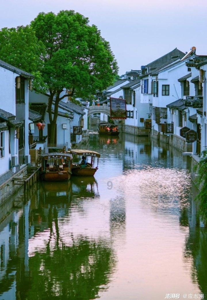 春雨直播app