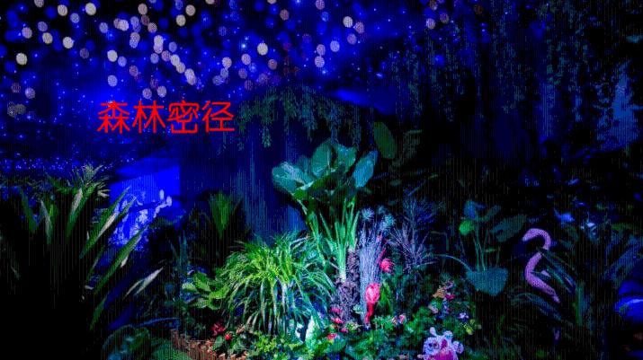 照顾小兔宝宝