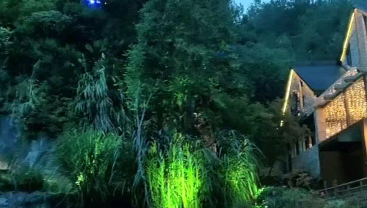 大无名森林逃生